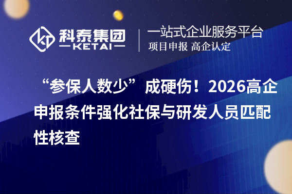 “參保人數少”成硬傷！2026高企申報條件強化社保與研發人員匹配性核查
