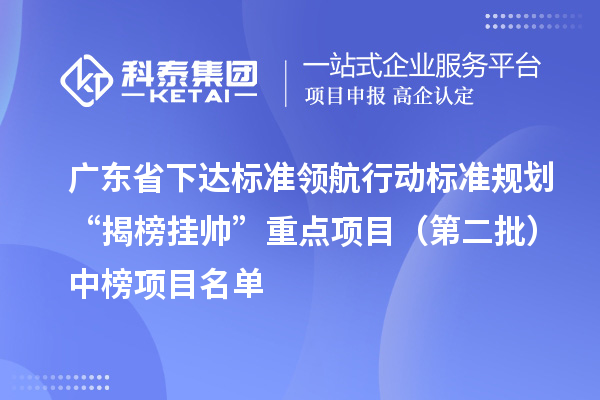 廣東省下達標準領航行動標準規劃“揭榜掛帥”重點項目（第二批）中榜項目名單