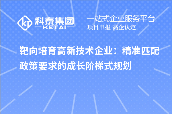 靶向培育高新技術企業：精準匹配政策要求的成長階梯式規劃