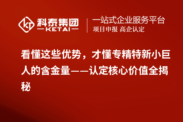看懂這些優勢，才懂專精特新小巨人的含金量——認定核心價值全揭秘