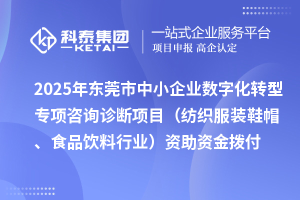 2025年東莞市中小企業(yè)數(shù)字化轉(zhuǎn)型專項咨詢診斷項目（紡織服裝鞋帽、食品飲料行業(yè)）資助資金撥付